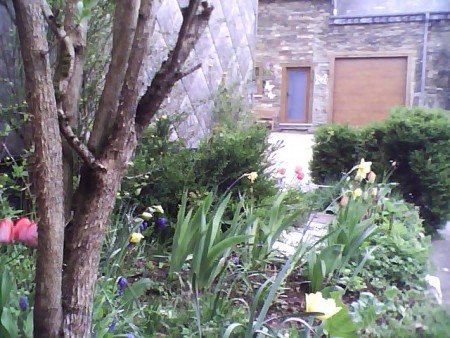 Le petit jardin au printemps avec vue d'en face sur la façade des maisons en schiste